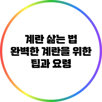 계란 삶는 법: 완벽한 계란을 위한 팁과 요령