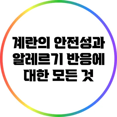 계란의 안전성과 알레르기 반응에 대한 모든 것