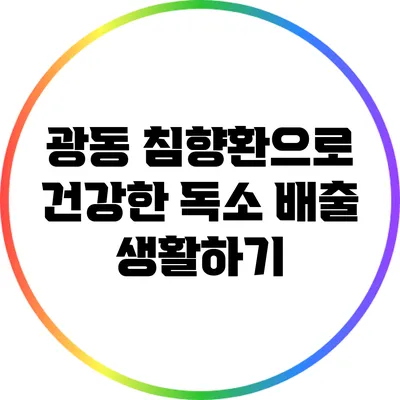 광동 침향환으로 건강한 독소 배출 생활하기
