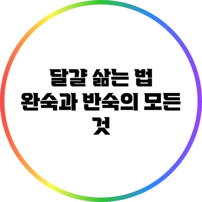 달걀 삶는 법: 완숙과 반숙의 모든 것