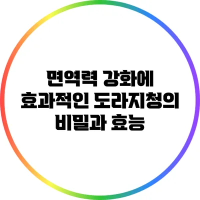 면역력 강화에 효과적인 도라지청의 비밀과 효능