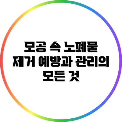 모공 속 노폐물 제거: 예방과 관리의 모든 것