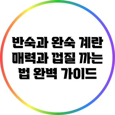 반숙과 완숙 계란: 매력과 껍질 까는 법 완벽 가이드