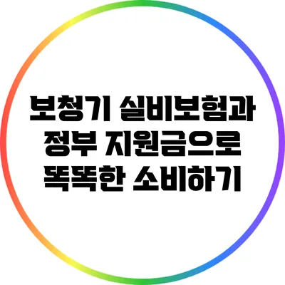 보청기 실비보험과 정부 지원금으로 똑똑한 소비하기