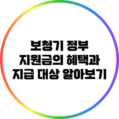 보청기 정부 지원금의 혜택과 지급 대상 알아보기