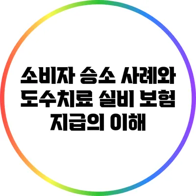 소비자 승소 사례와 도수치료 실비 보험 지급의 이해