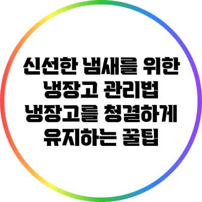 신선한 냄새를 위한 냉장고 관리법: 냉장고를 청결하게 유지하는 꿀팁