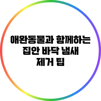 애완동물과 함께하는 집안 바닥 냄새 제거 팁