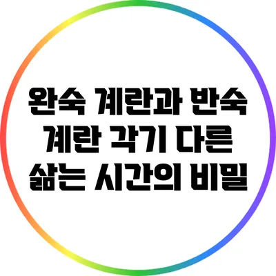 완숙 계란과 반숙 계란: 각기 다른 삶는 시간의 비밀