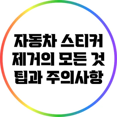 자동차 스티커 제거의 모든 것: 팁과 주의사항