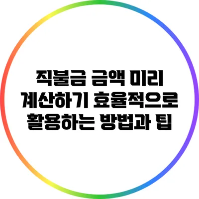 직불금 금액 미리 계산하기: 효율적으로 활용하는 방법과 팁