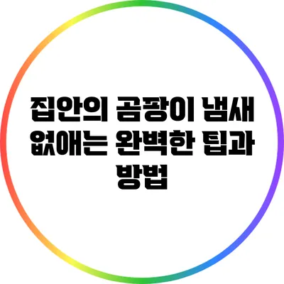 집안의 곰팡이 냄새 없애는 완벽한 팁과 방법