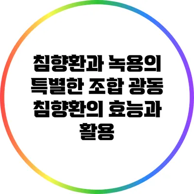 침향환과 녹용의 특별한 조합: 광동 침향환의 효능과 활용