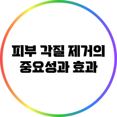 피부 각질 제거의 중요성과 효과