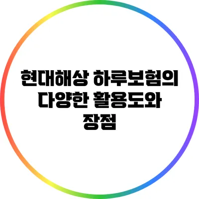 현대해상 하루보험의 다양한 활용도와 장점