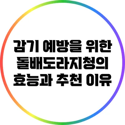 감기 예방을 위한 돌배도라지청의 효능과 추천 이유