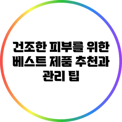 건조한 피부를 위한 베스트 제품 추천과 관리 팁