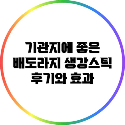 기관지에 좋은 배도라지 생강스틱 후기와 효과