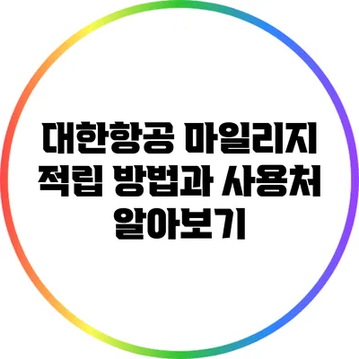 대한항공 마일리지 적립 방법과 사용처 알아보기