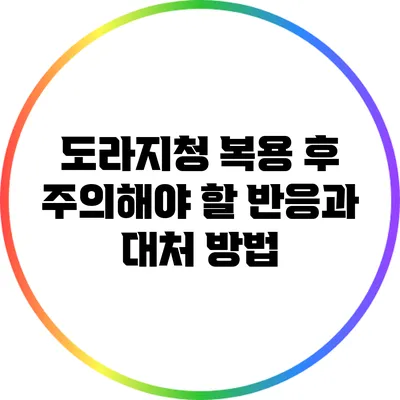도라지청 복용 후 주의해야 할 반응과 대처 방법