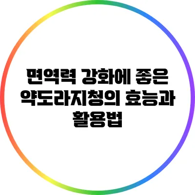 면역력 강화에 좋은 약도라지청의 효능과 활용법