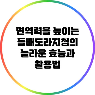 면역력을 높이는 돌배도라지청의 놀라운 효능과 활용법