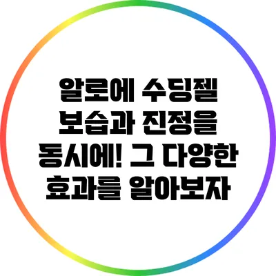 알로에 수딩젤: 보습과 진정을 동시에! 그 다양한 효과를 알아보자