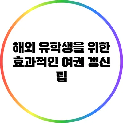 해외 유학생을 위한 효과적인 여권 갱신 팁