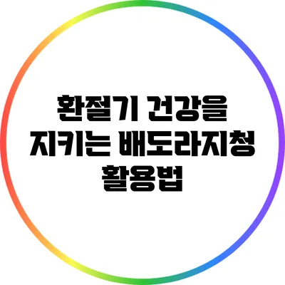 환절기 건강을 지키는 배도라지청 활용법