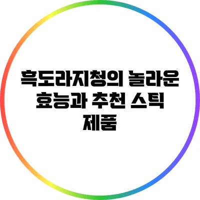 흑도라지청의 놀라운 효능과 추천 스틱 제품