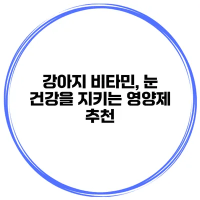 강아지 비타민, 눈 건강을 지키는 영양제 추천
