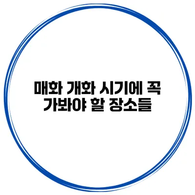 매화 개화 시기에 꼭 가봐야 할 장소들
