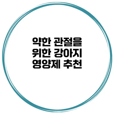 약한 관절을 위한 강아지 영양제 추천