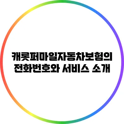 캐롯퍼마일자동차보험의 전화번호와 서비스 소개