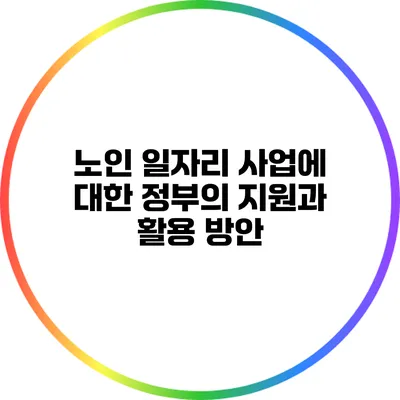 노인 일자리 사업에 대한 정부의 지원과 활용 방안